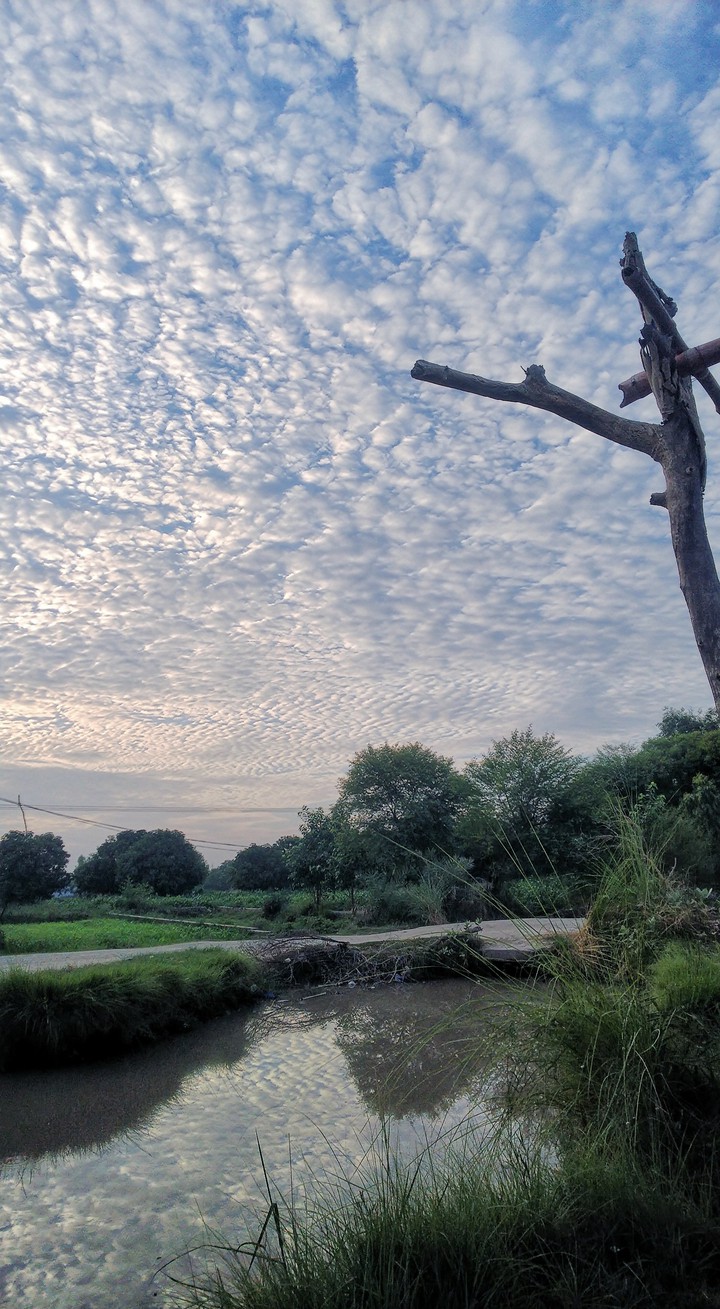 New Dawn