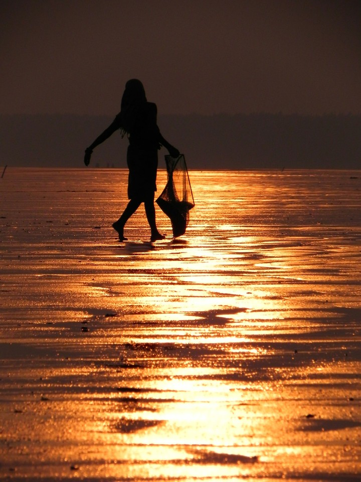 Sea beach