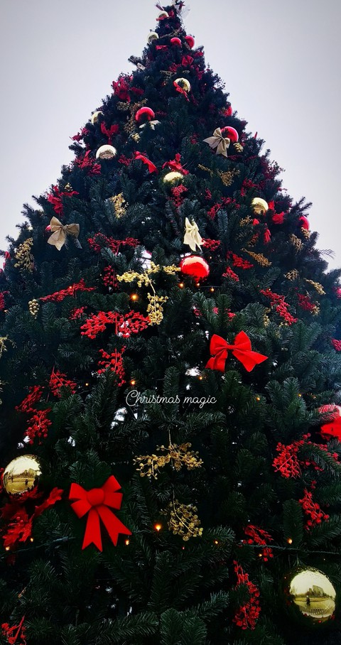Christmas magic