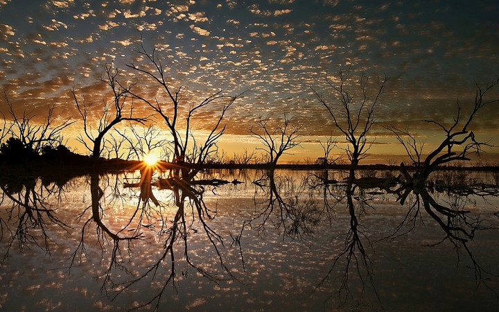 Sunset landscape