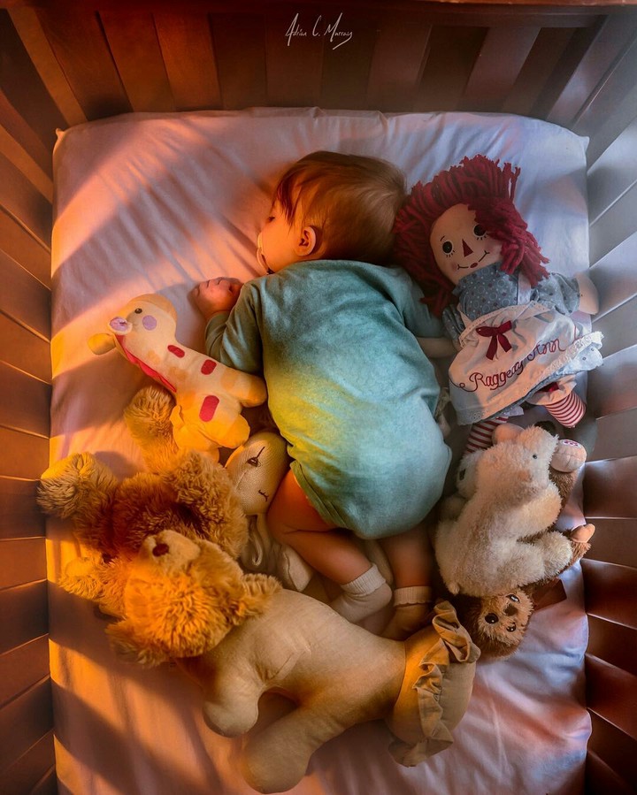 SWEET DREAM