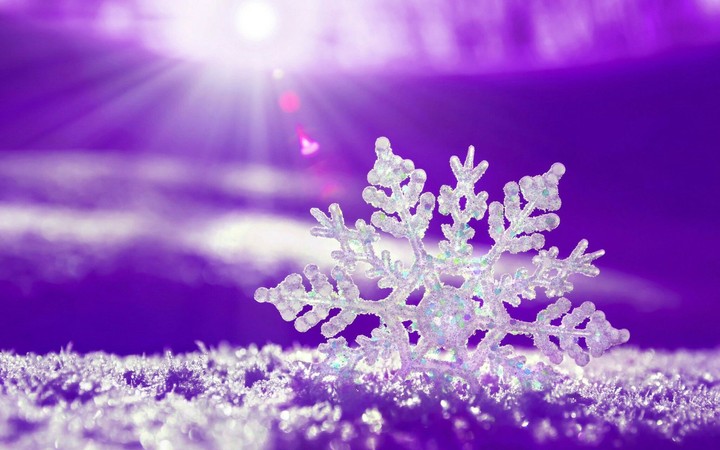 natural beauty