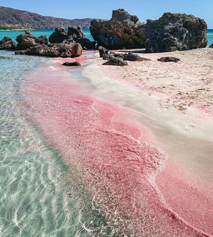 Sea