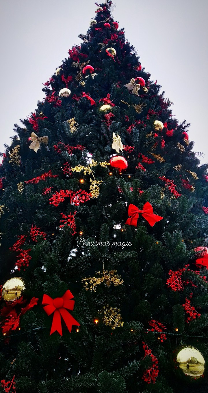 Christmas magic