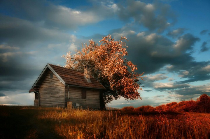 Dream house