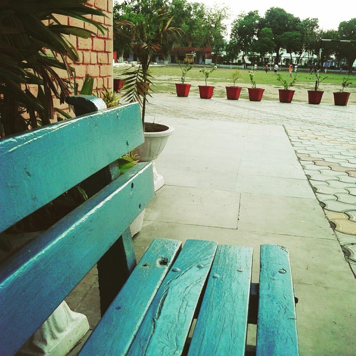 touchwood