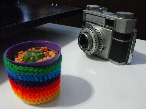 cactus & camera