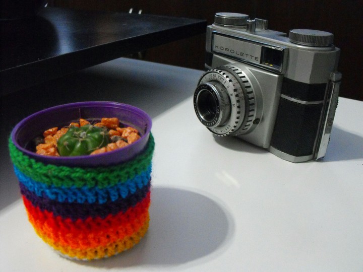 cactus & camera