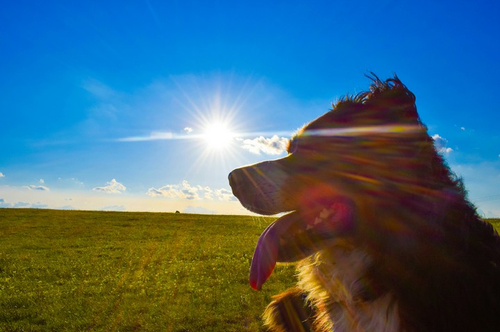 in the sun