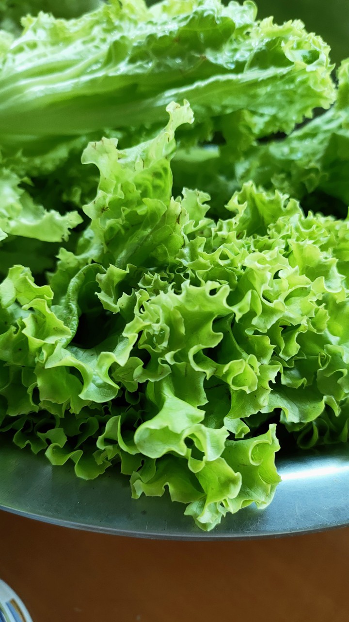 vegie