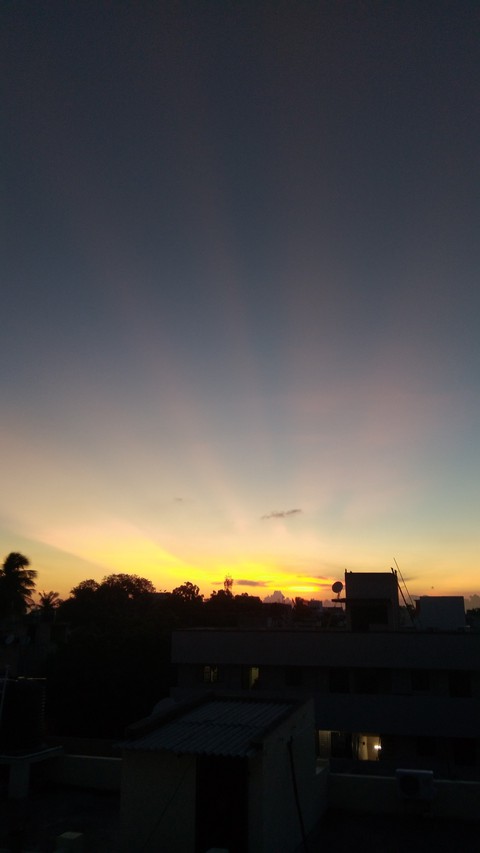 The View