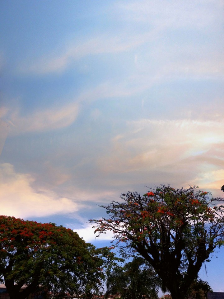 sweet sky
