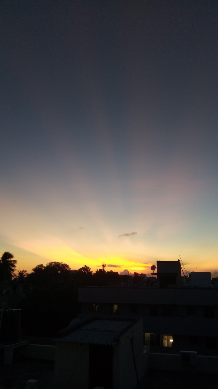 The View