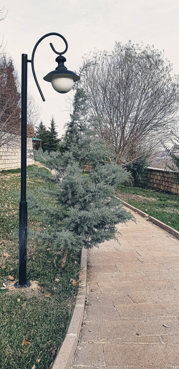 Street Lamp