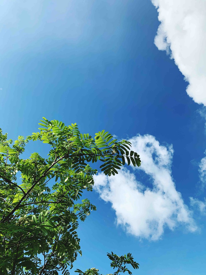 green and blue colours