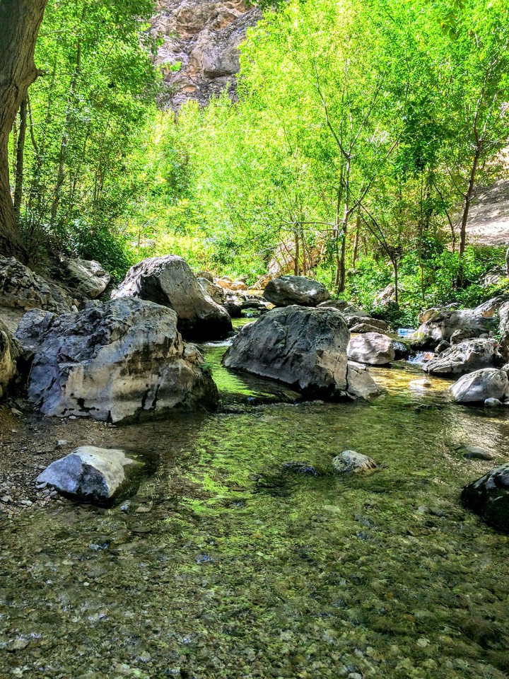 aa