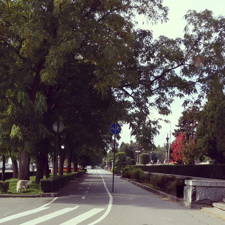 road