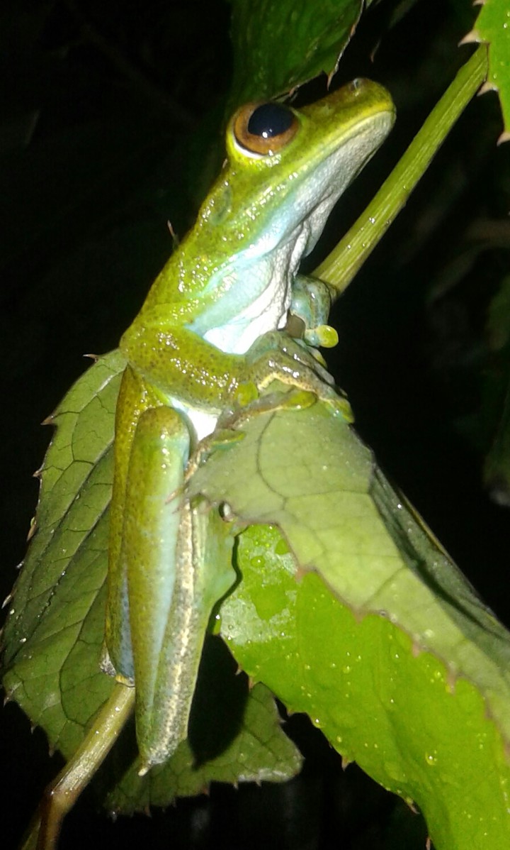 ecuador