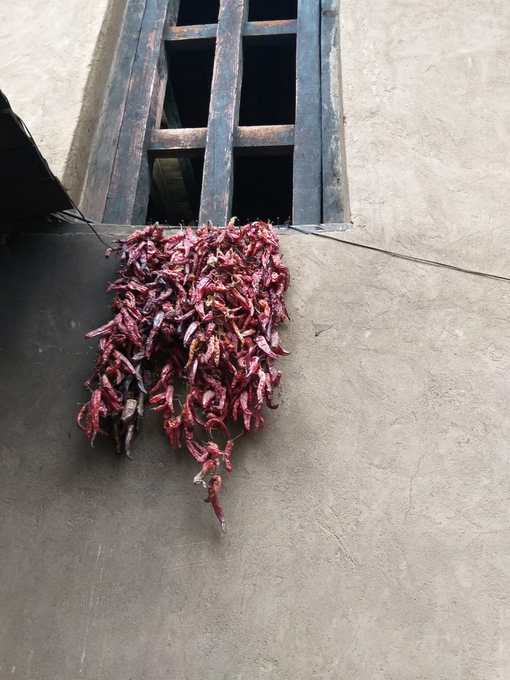 window chilli