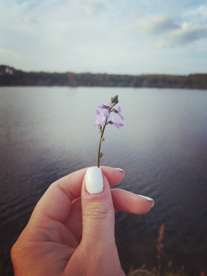 Violet