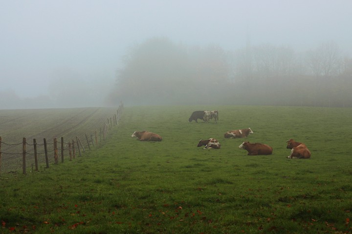 Herrsching