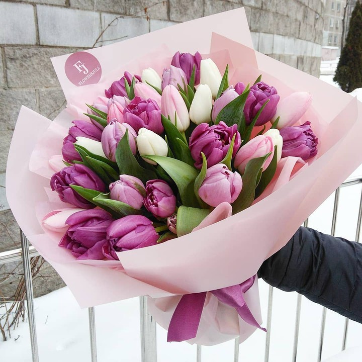 Tulips