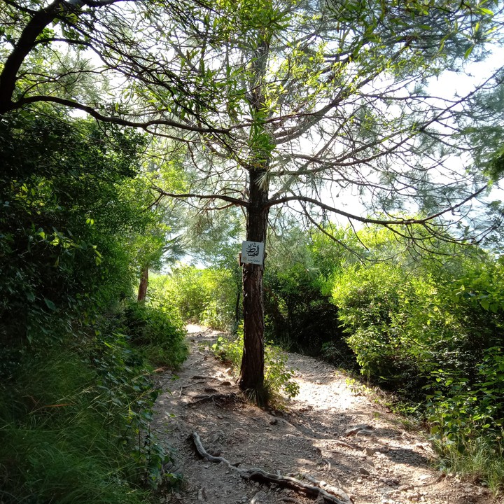 hiking in Margalla Hills National Park