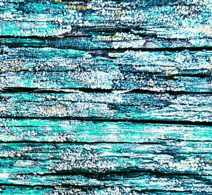 sorprendenti colori