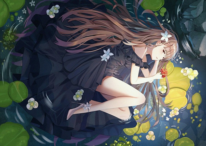 Anime ~