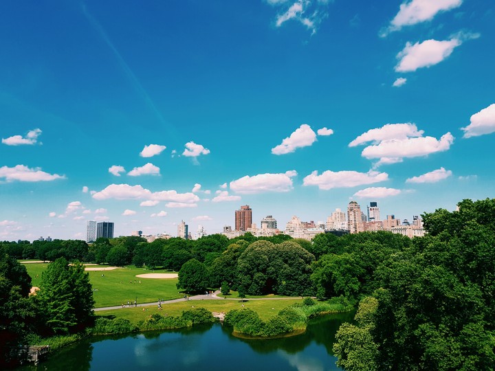 Central Park. New York