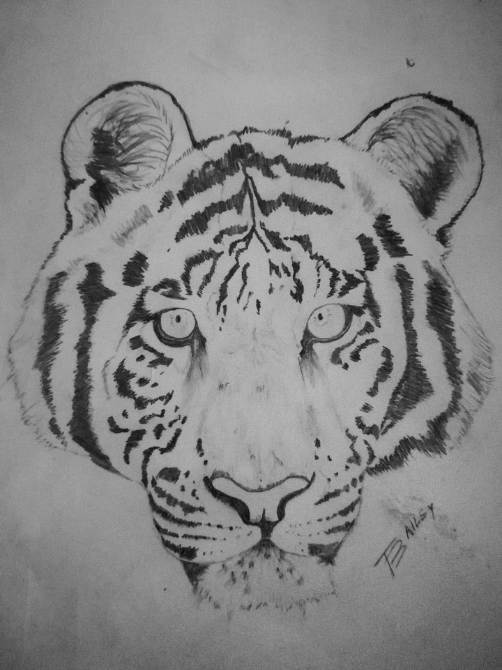 I wonder what a tiger thinks behind its thoughtful stare.