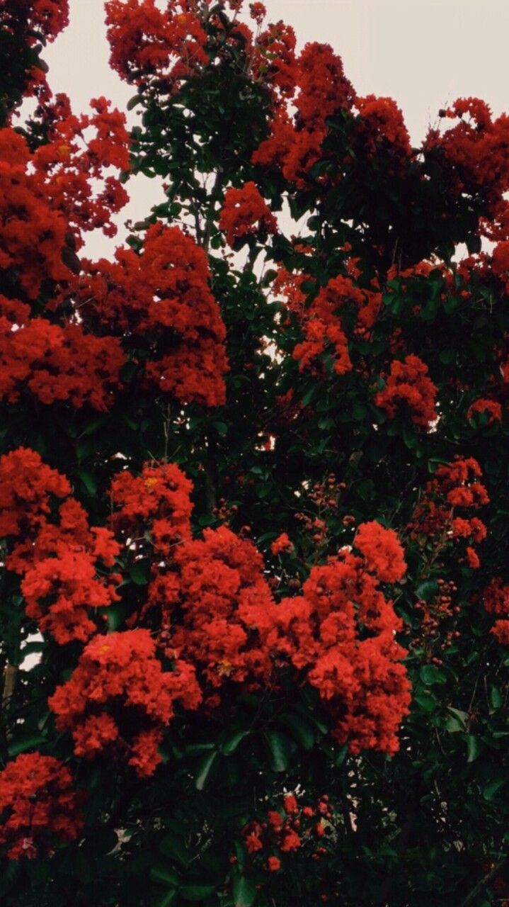 ❤