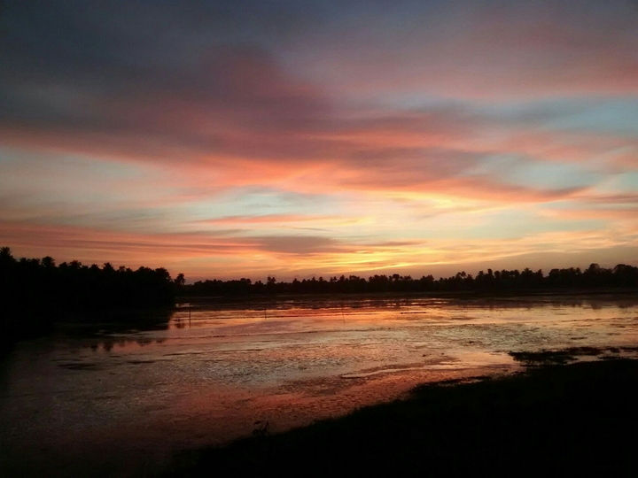 Nature:calming our minds
