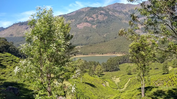 munnar