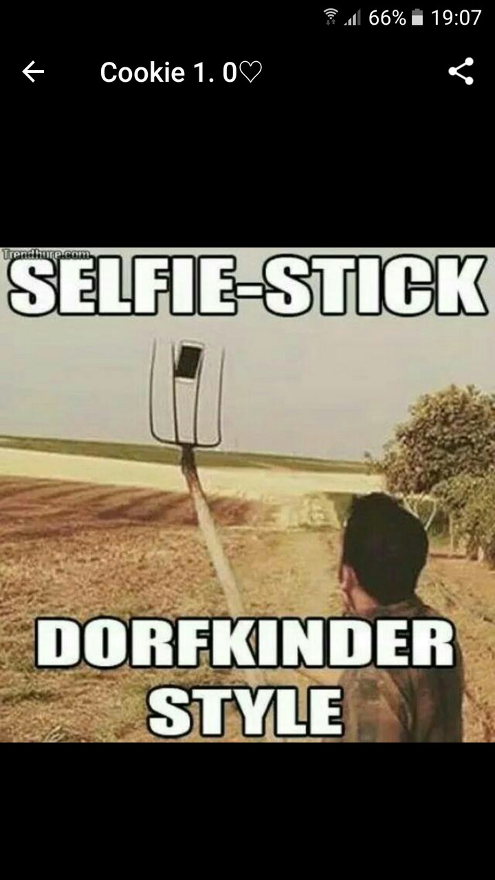 XD
