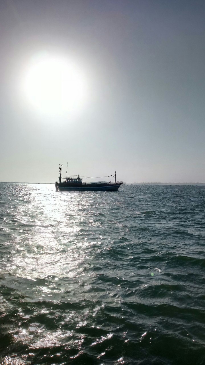 A voyage