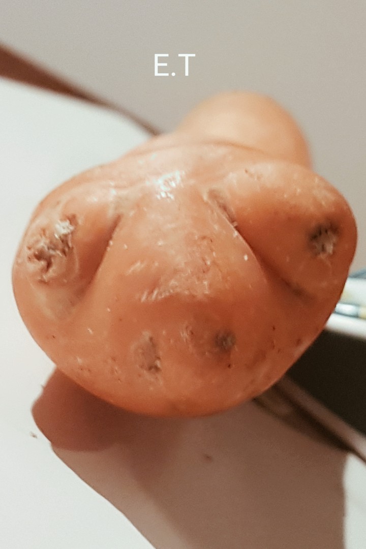 E.T the carrot