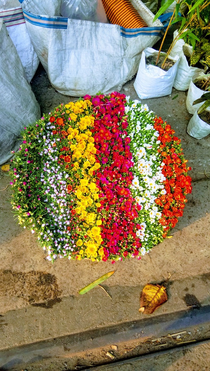 small flower...