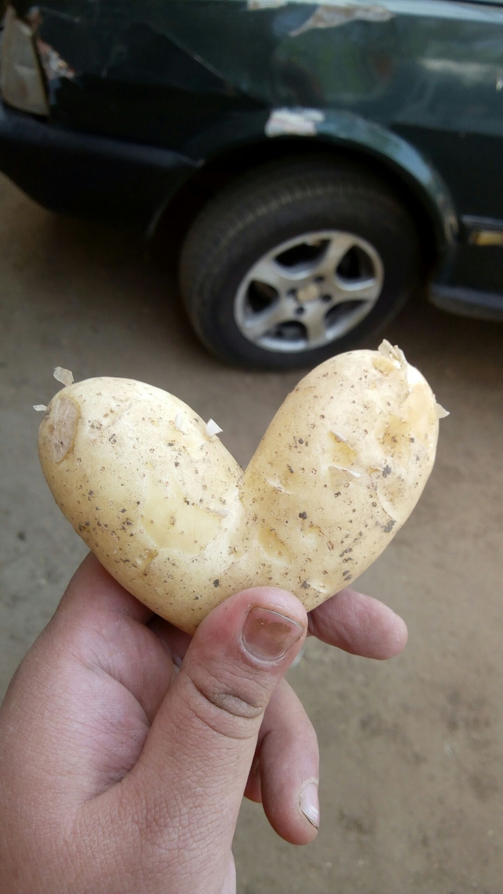 real potato