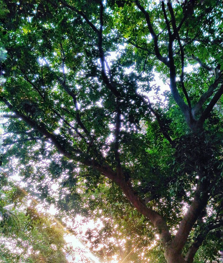 Morning bliss