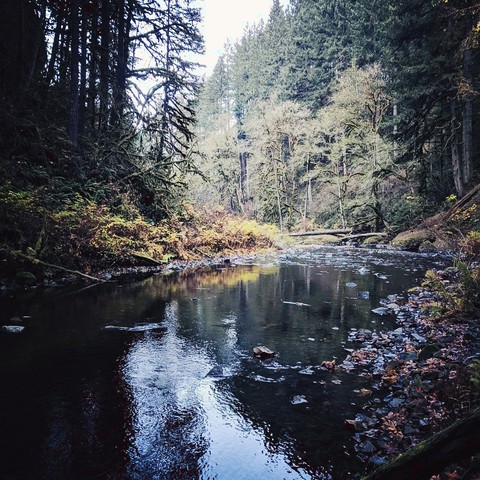 bottom of the valley