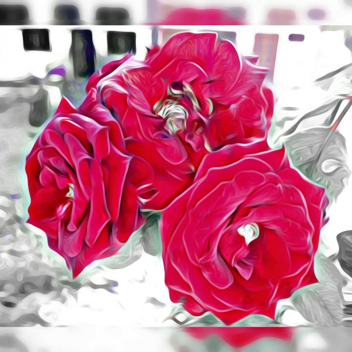loving rose