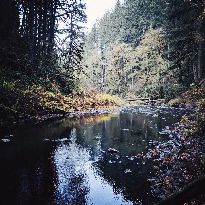 bottom of the valley