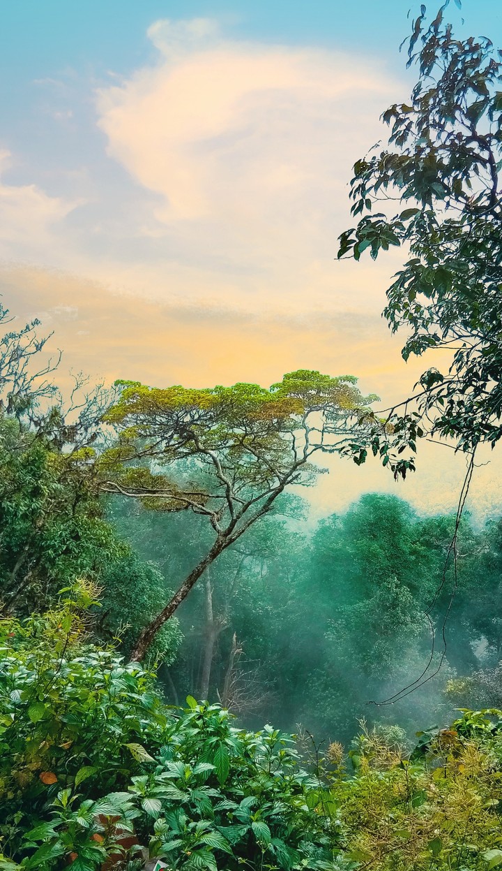 nature click