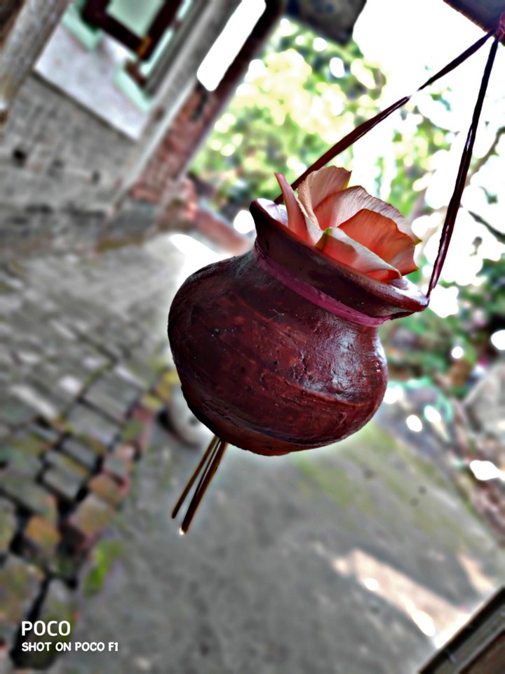 pot