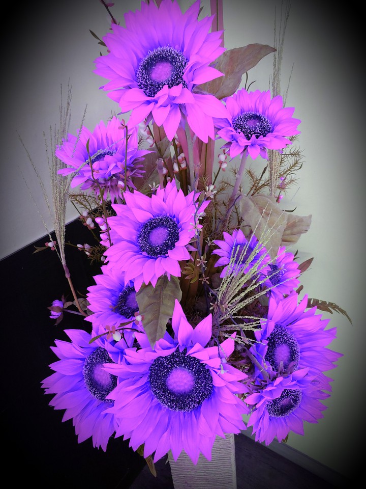 flowers