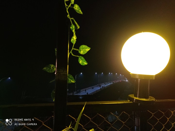 night view