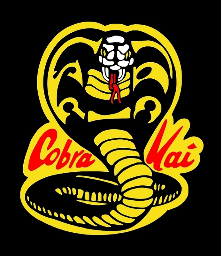 cobra kai