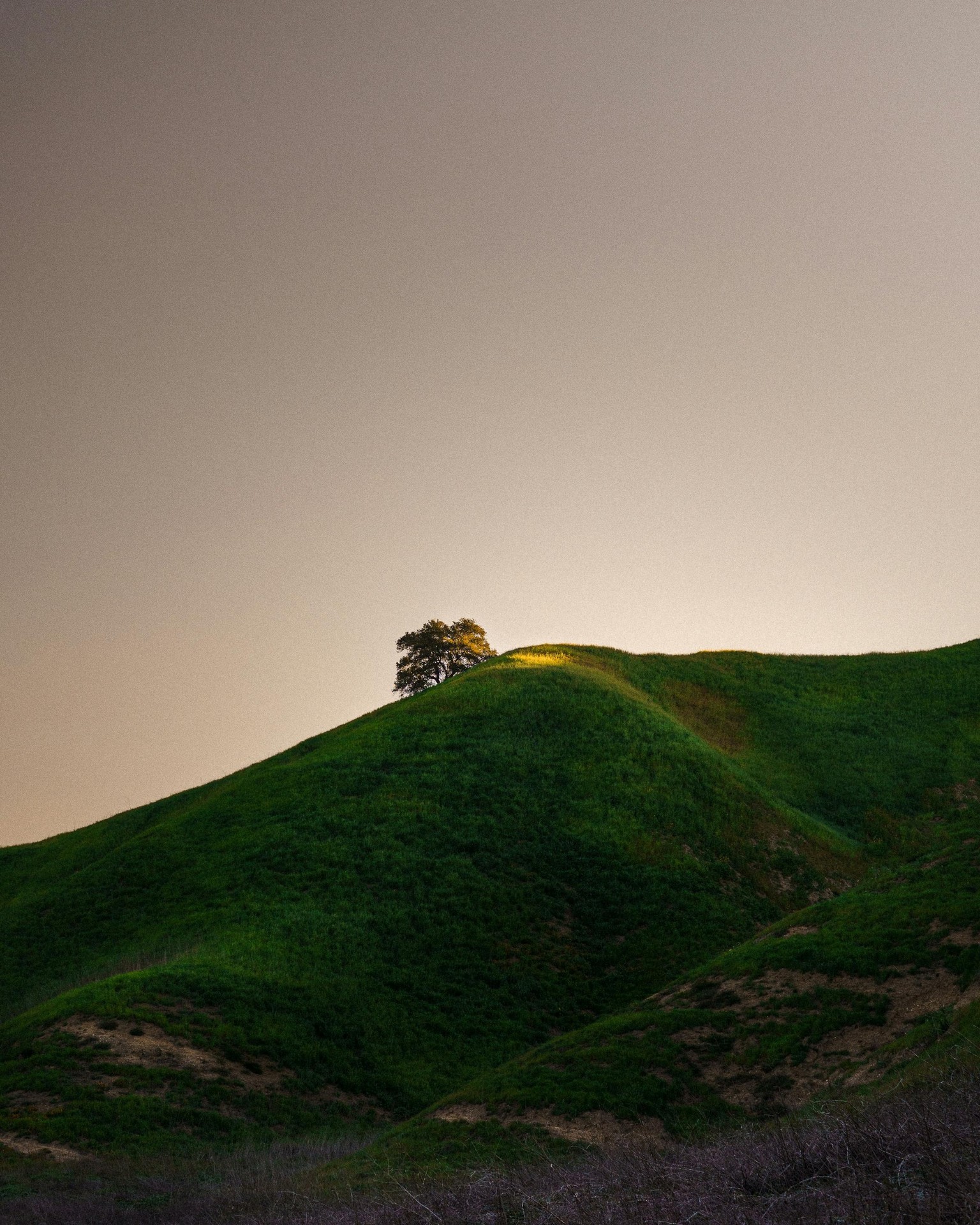nature, highland Hintergrundbilder