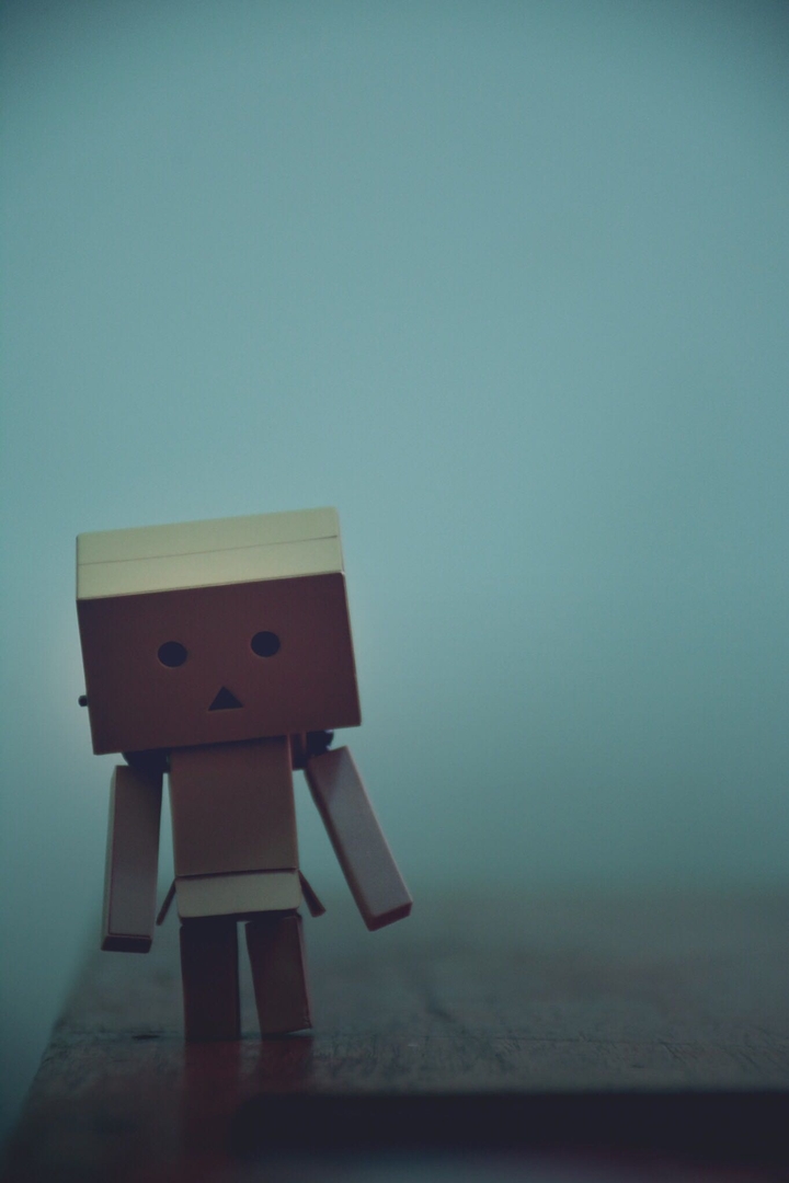 danbo